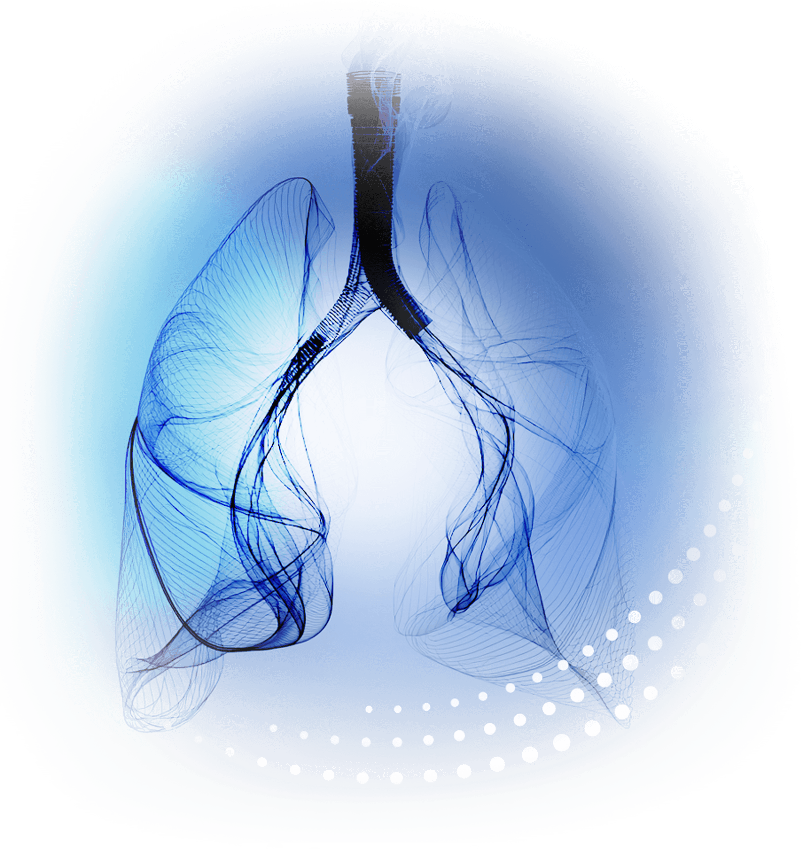 xray lung image